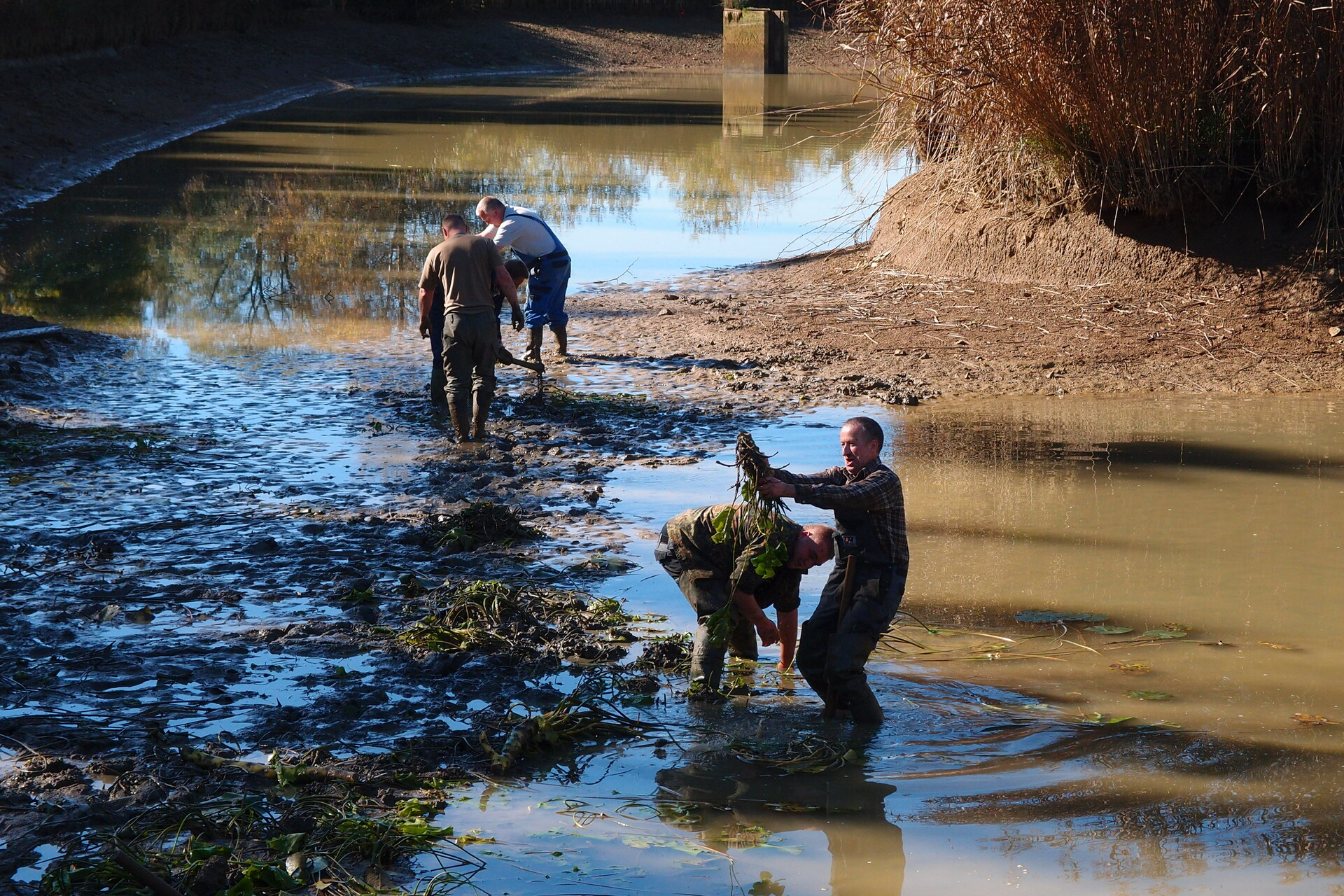 Galeriebild: PA183125